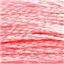 DMC Stranded Cotton Plain 894