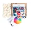 Ashford Intro To Dyeing Kit