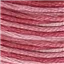 DMC Stranded Cotton Variegated 099