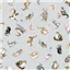 Animal Mwwhiskers Paws 10416k