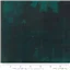 Grunge 494 Everglade Forest Green