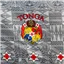 Fabric Dobby Print Grey Black Tonga - photo 3
